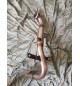 DOWNPIPE BMW 120D 320D 184CV F20/F30