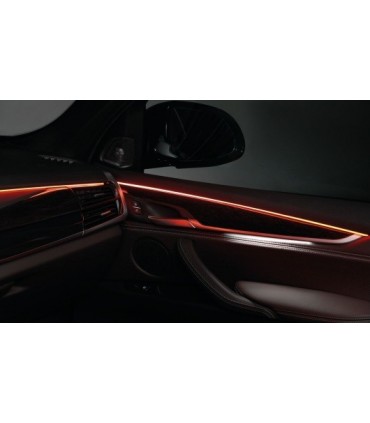 TUBO LED AMBIENTALE 1 METRO 