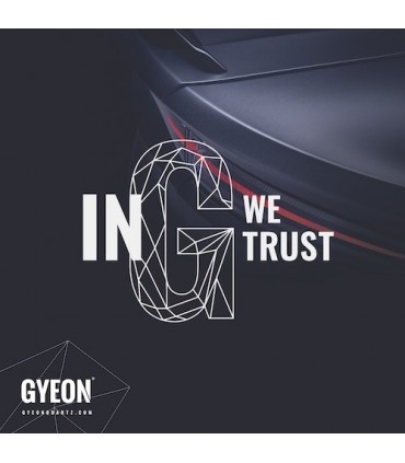 GYEON BANNER IN TESSUTO - IN G WE TRUST