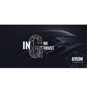 GYEON BANNER IN TESSUTO - IN G WE TRUST
