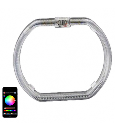 COPPIA ANELLI ANGEL EYES SQUARE LED CRYSTAL RGB