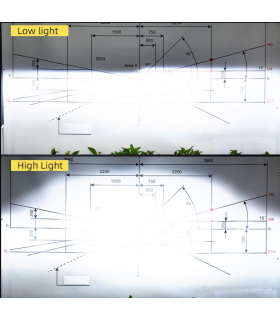 KIT LED CANBUS ZES CHIP 20000 D-REVOLUTION