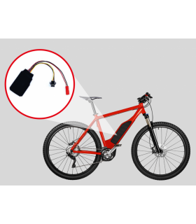 EVO antifurto GPS per e-bike