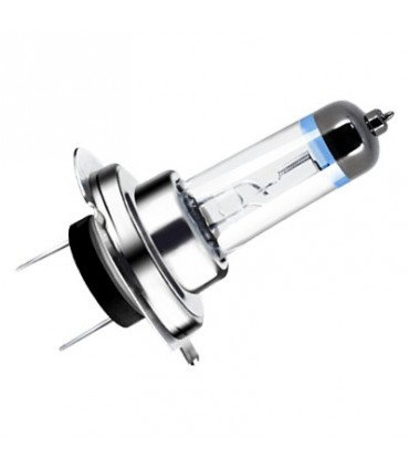 COPPIA H7 PEGASUS SKYLINE SILVER-TEC +100 % Light