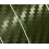 PELLICOLA WRAPPING AIR-FREE VERDE MILITARE CARBON LOOK 3D