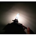 COPPIA LAMPADE